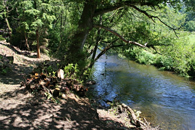 File:The River Fowey by Station Drive - geograph.org.uk - 455786.jpg