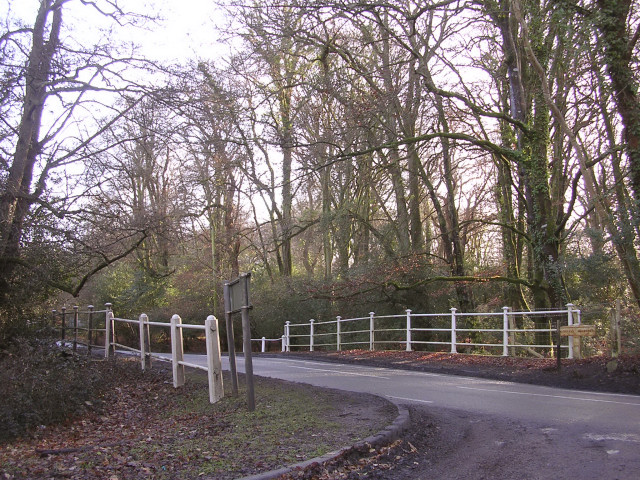 The bridge at Wittensford, New Forest - geograph.org.uk - 92935