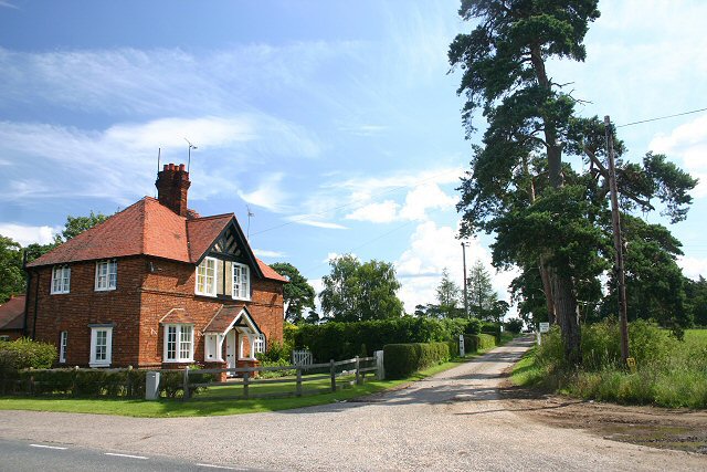 Track to High Lodge - geograph.org.uk - 481824