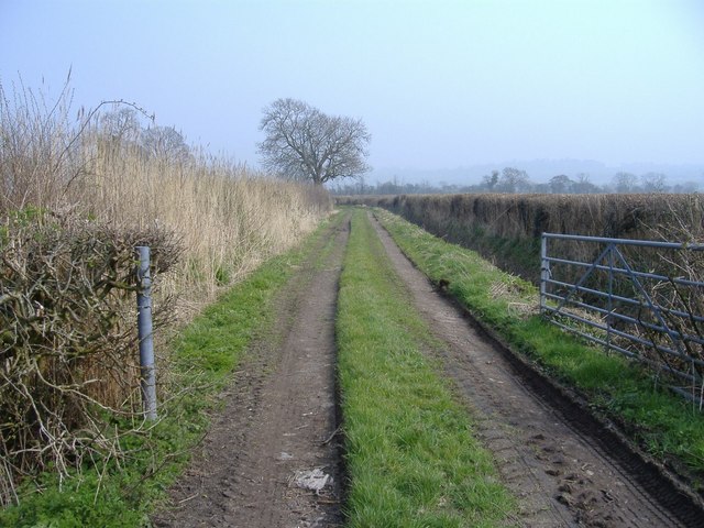 File:Track to Lower Knole - geograph.org.uk - 380645.jpg