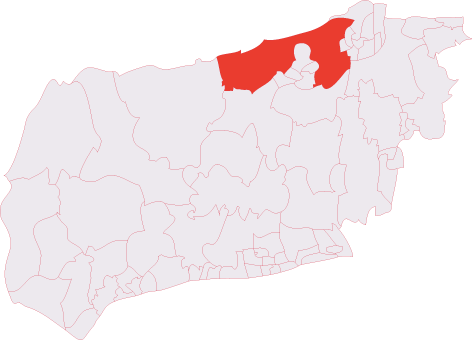 Warnham & Rusper (electoral division)