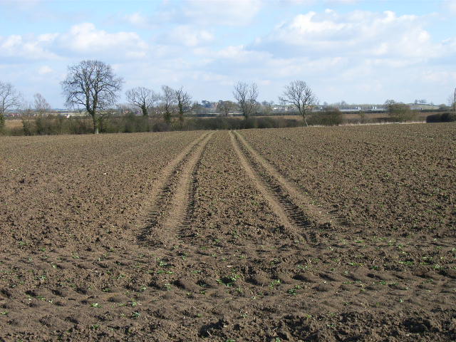 File:West of Edgcott - geograph.org.uk - 134636.jpg