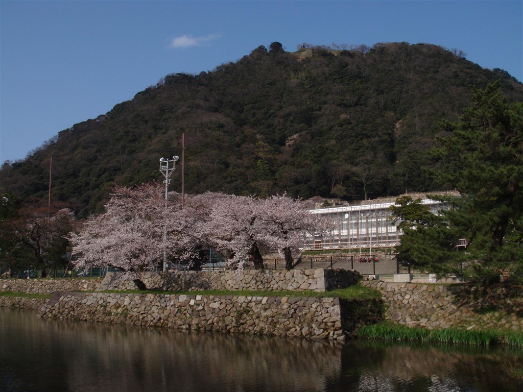 鳥取県立鳥取西高等学校 - Wikipedia