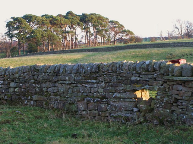 File:(Partially blocked) sheephole near Pia Troon - geograph.org.uk - 680764.jpg