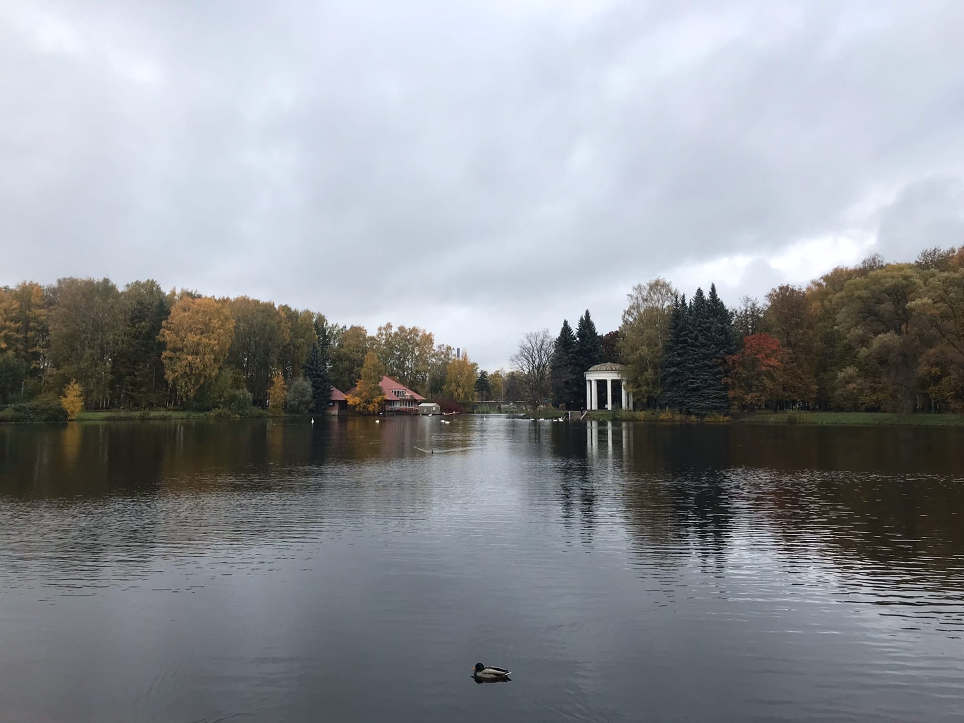 Второе северное. Приморский парк Победы Санкт-Петербург зоопарк. Южно-Приморский парк пруд восьмёрка. Озеро восьмерка Южно Приморский парк. Приморский парк Победы в Санкт-Петербурге пляж.