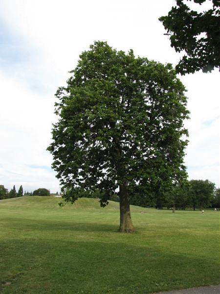 File:Ahuntsic Park Hill 04.jpg