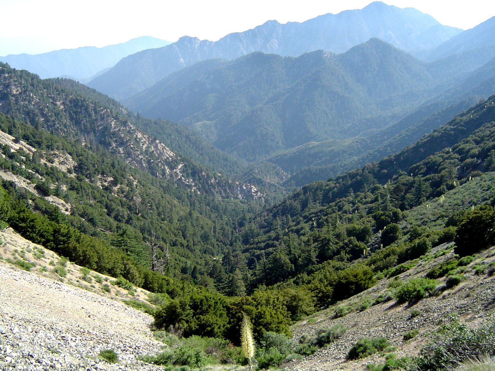 Angeles National Forest Wikipedia