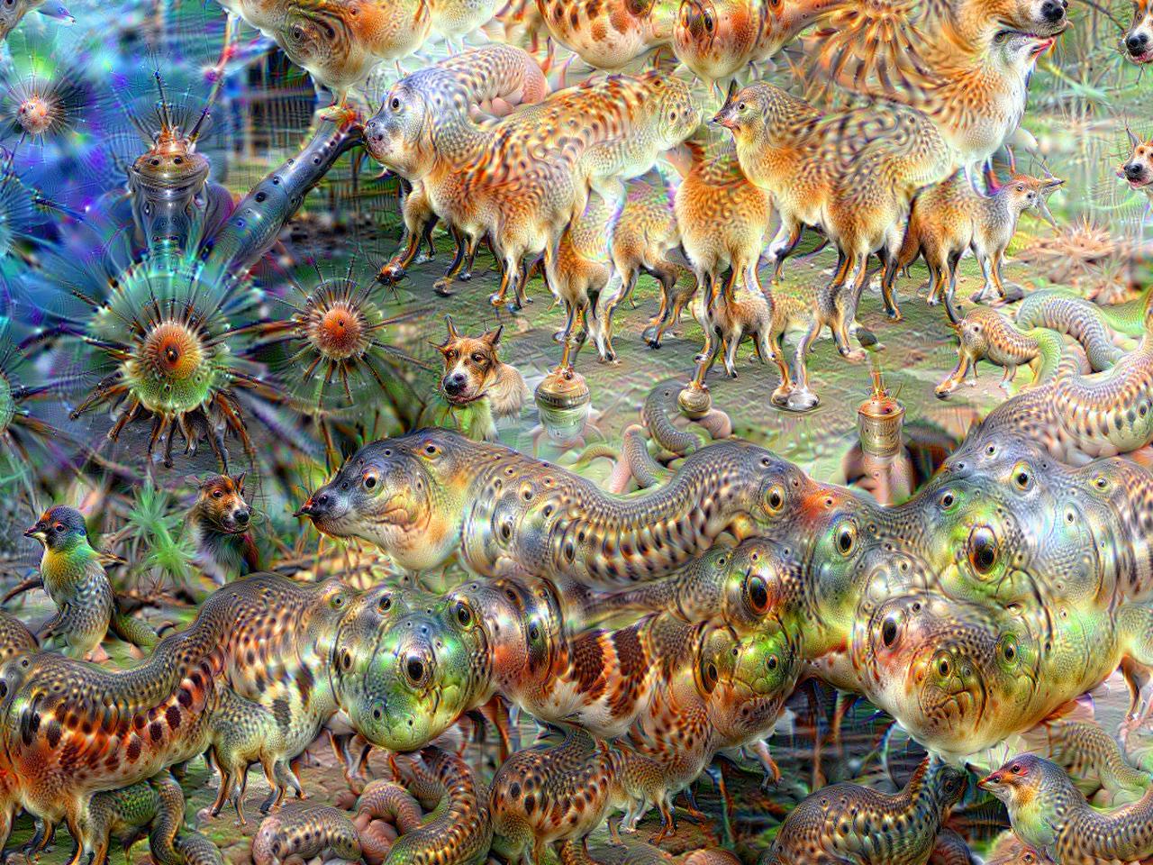 Нейросеть загрузить картинку. Нейросеть Deep Dream. Наутилус нейросеть. Нейросеть Мистерио. Далли нейросеть.