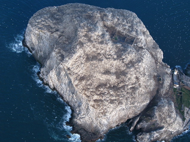 File:Bass Rock from the air - geograph.org.uk - 1520618.jpg