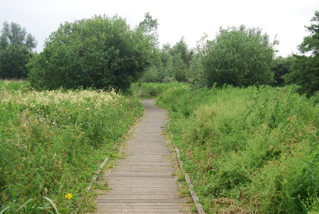 Boardwalk - geograph.org.uk - 3308118