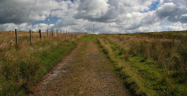 File:Border County Ride - geograph.org.uk - 1406525.jpg