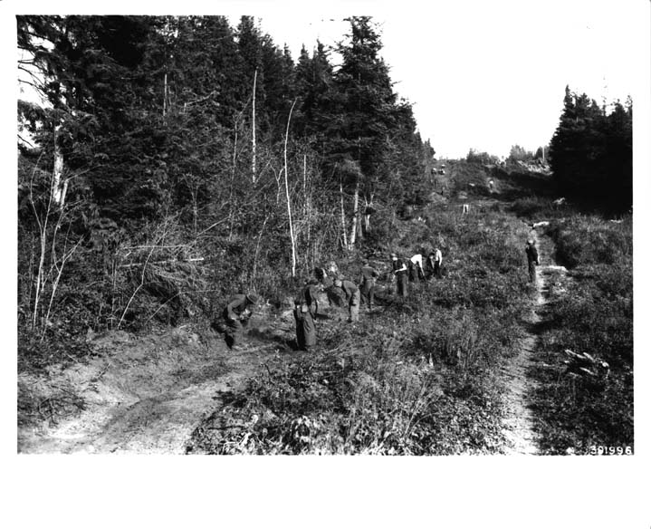 File:Boys building Fire line-Oregon-1936.jpg