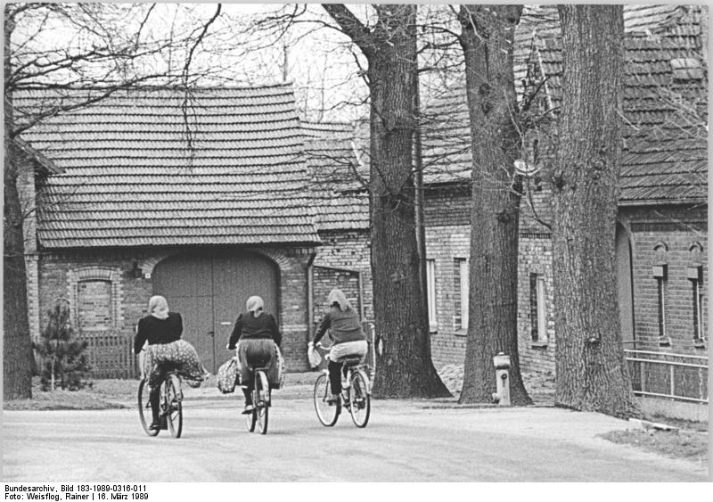 File:Bundesarchiv Bild 183-1989-0316-011, Mühlrose, Dorfstraße.jpg
