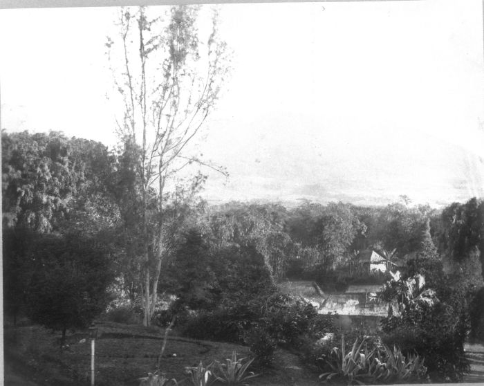 File:COLLECTIE TROPENMUSEUM Gezicht op het plaatsje Sindanglaya met de Gunung Gede op de achtergrond TMnr 60009692.jpg