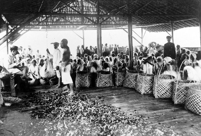 File:COLLECTIE TROPENMUSEUM In de loods van het onderstation worden de theepluksters betaald West-Java TMnr 10011944.jpg