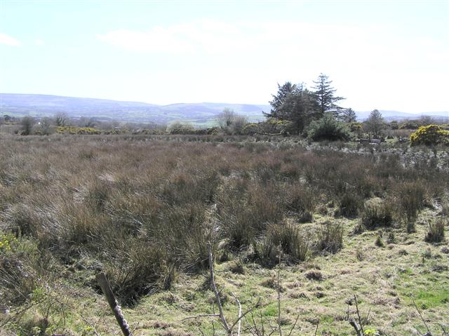 File:Carnoughter Townland - geograph.org.uk - 391273.jpg