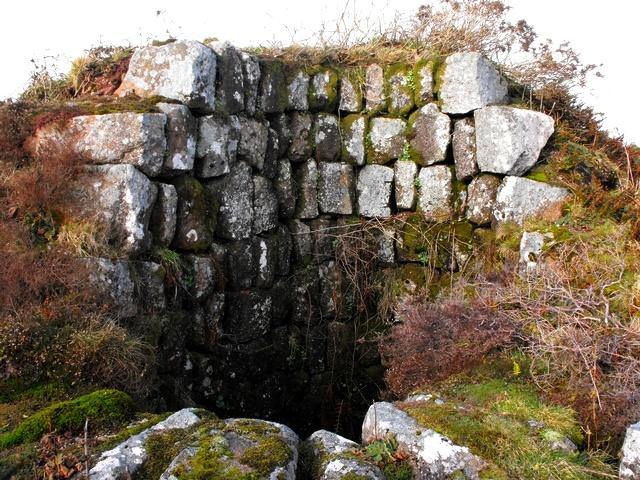 File:Collared in stone - geograph.org.uk - 1738427.jpg