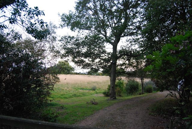 Crockham Hill Common - geograph.org.uk - 1501795