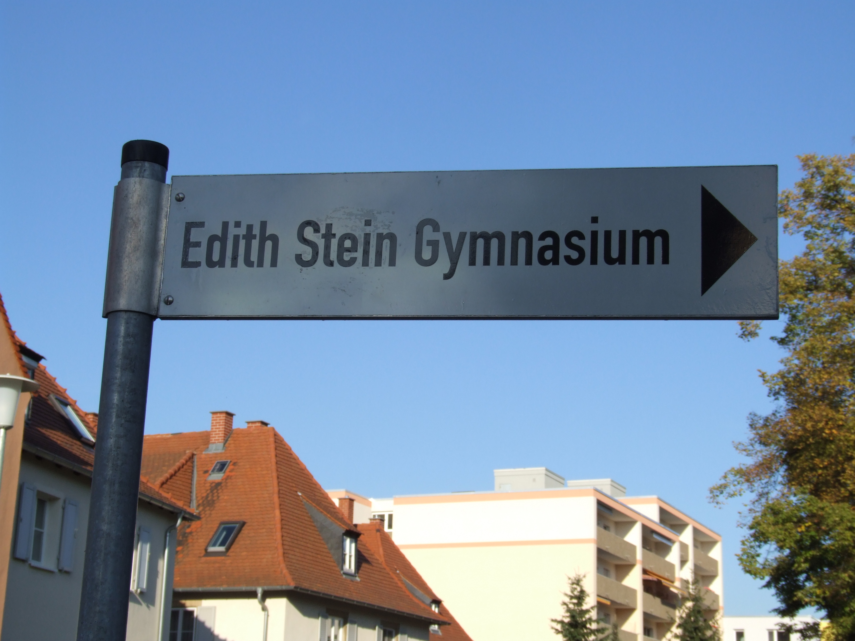 Edith-Stein-Gymnasium in Speyer, Hinweisschild