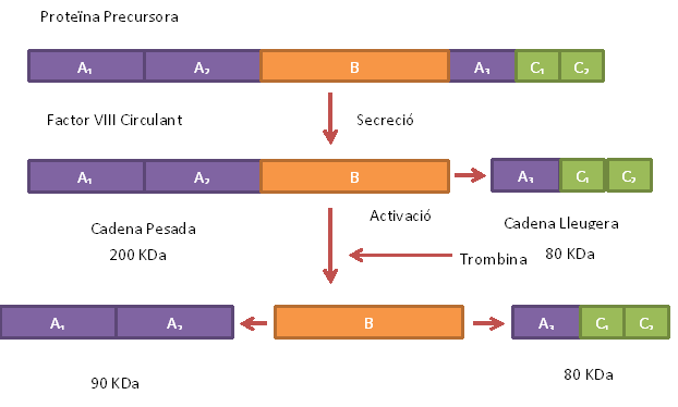 Y-factor - Wikipedia