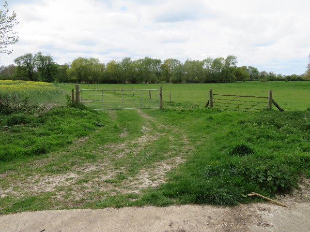 File:Farmland by Quy Water - geograph.org.uk - 5649144.jpg