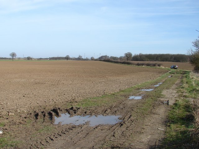 File:Field and private road off B1211 - geograph.org.uk - 1204396.jpg