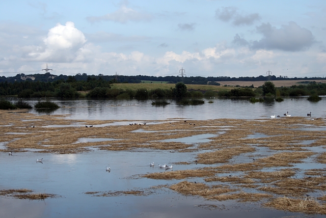 File:Flooded stubble field - geograph.org.uk - 952633.jpg
