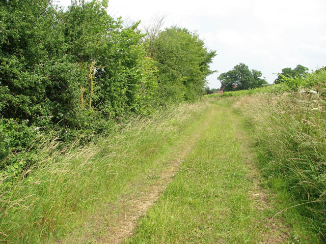 File:Footpath along a field's edge - geograph.org.uk - 1384105.jpg