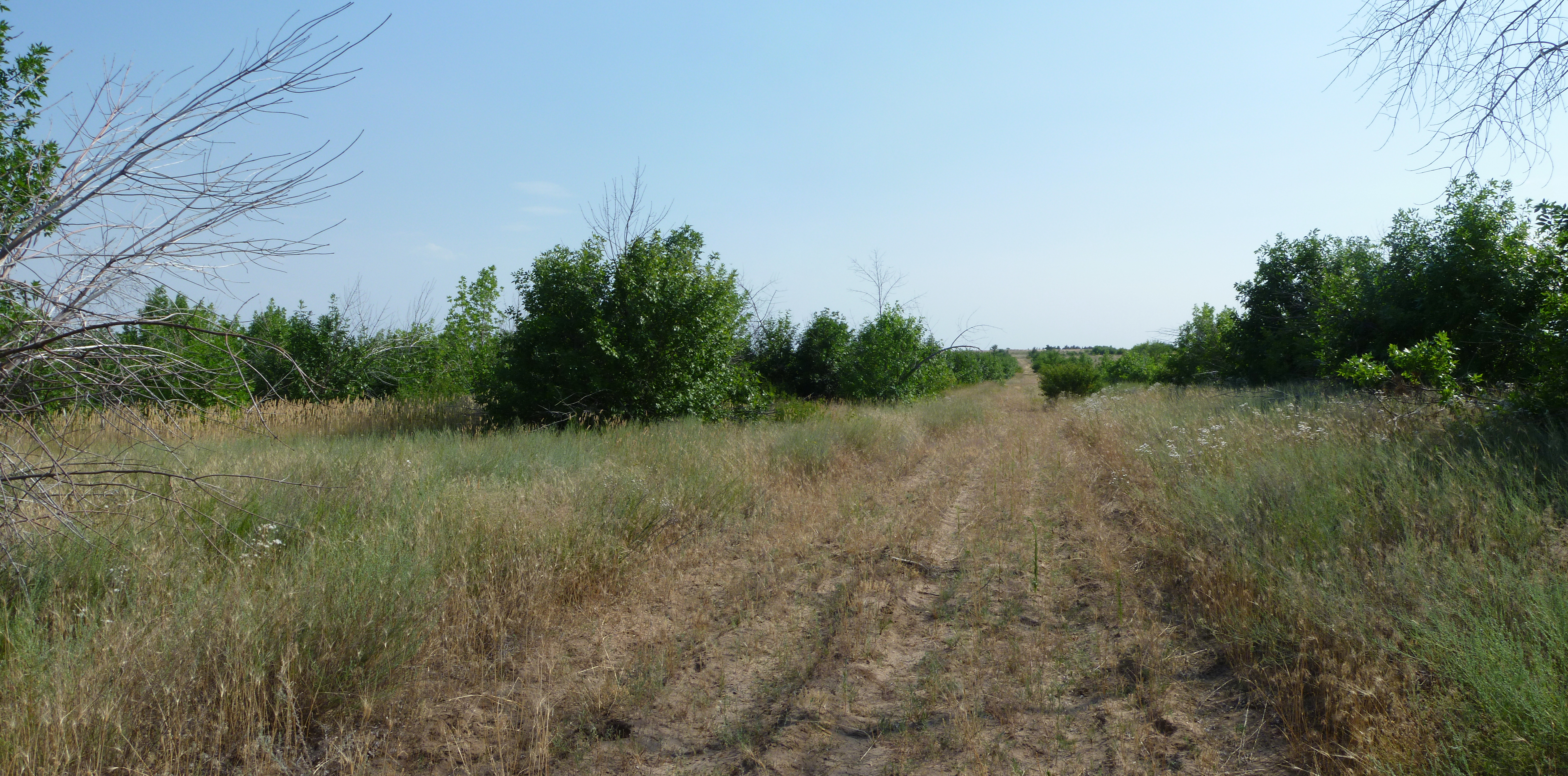 Село Лог Волгоградской области. Новый быт Волгоградская область. Балка толстая Волгоградская область. Садки Волгоградская область.