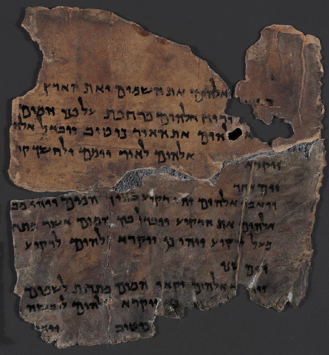 Genesis 1 Dead Sea Scroll (Cropped).jpg