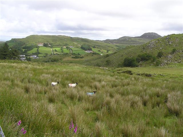 File:Glasmullan Townland - geograph.org.uk - 1391643.jpg