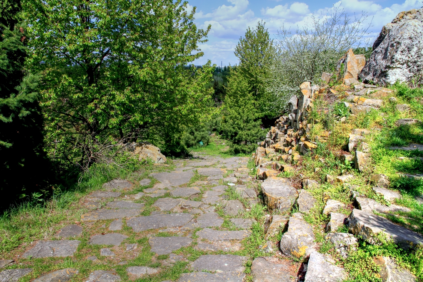 Ботанический сад Кишинев gradina Botanica