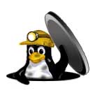 LinuxBIOS Logo