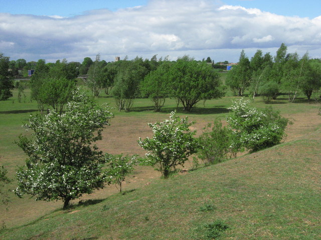 File:Motorway countryside - geograph.org.uk - 429188.jpg