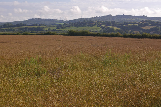 File:North from near Mapperton Farm - geograph.org.uk - 1030169.jpg