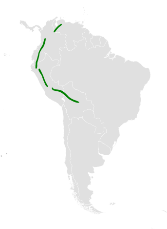 File:Notiochelidon flavipes distribution map.png