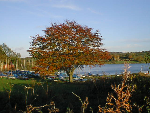 Ogston Sailing Club and Beech Tree - geograph.org.uk - 305702