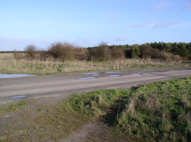 File:One of the many tracks that cross Salisbury Plain - geograph.org.uk - 303026.jpg