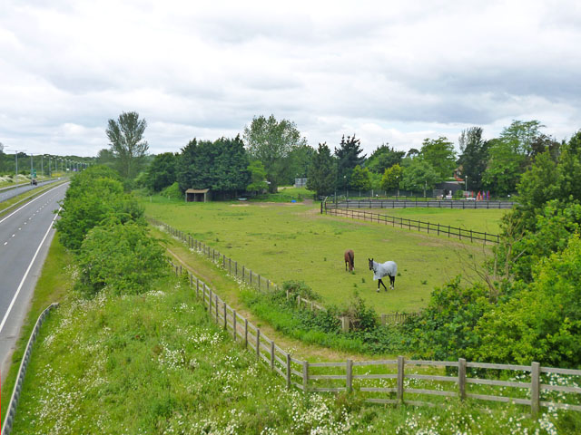 File:Paddock by A228 - geograph.org.uk - 3826000.jpg