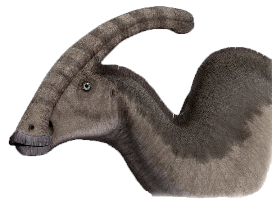 Parasaurolophus dino. dinossauro extinto com crista craniana ou