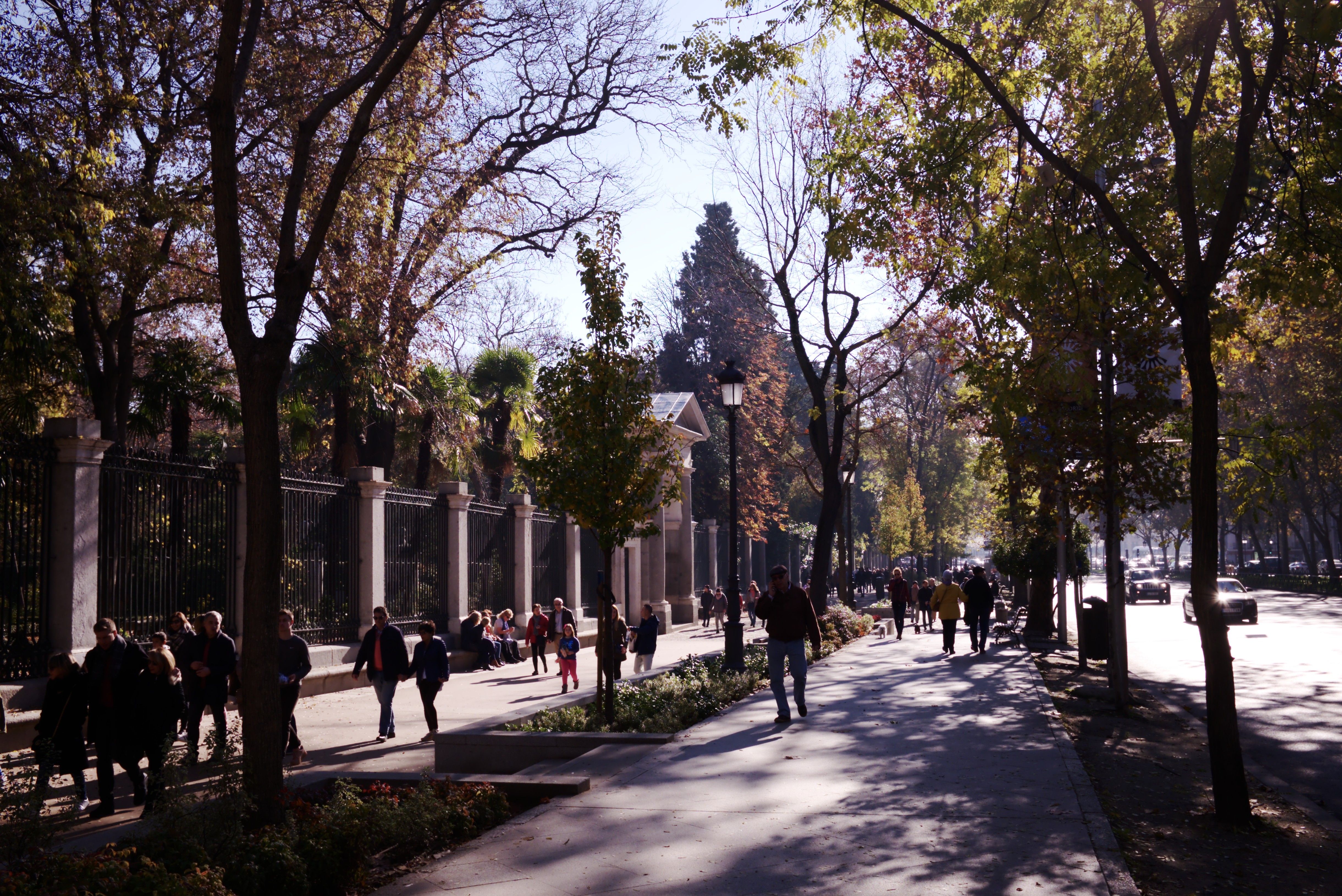 Paseo del prado. Бульвар Пасео дель Прадо Мадрид. Аллея Прадо Мадрид. Paseo del Prado блузка.