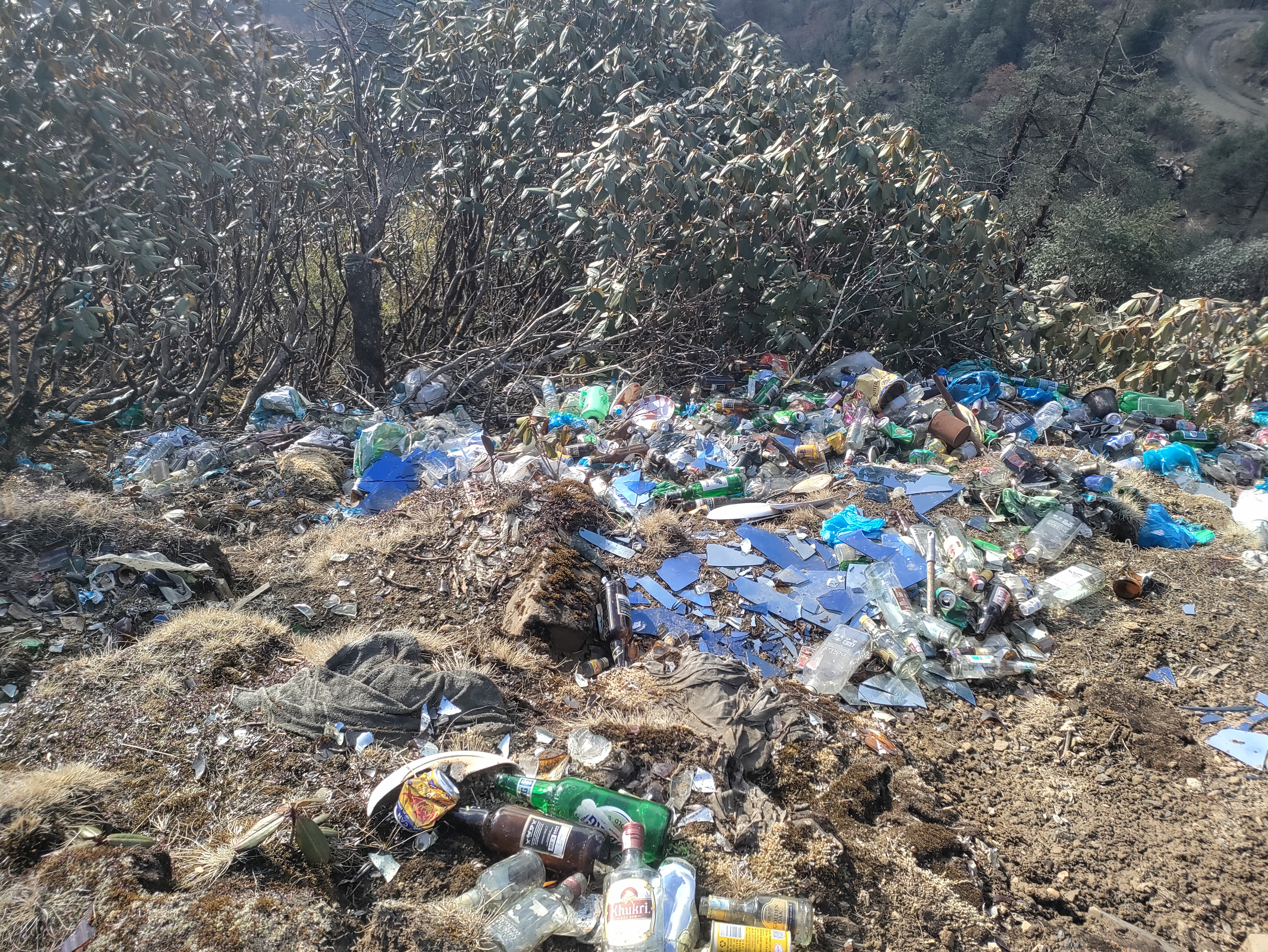 Plastic pollution - Wikipedia