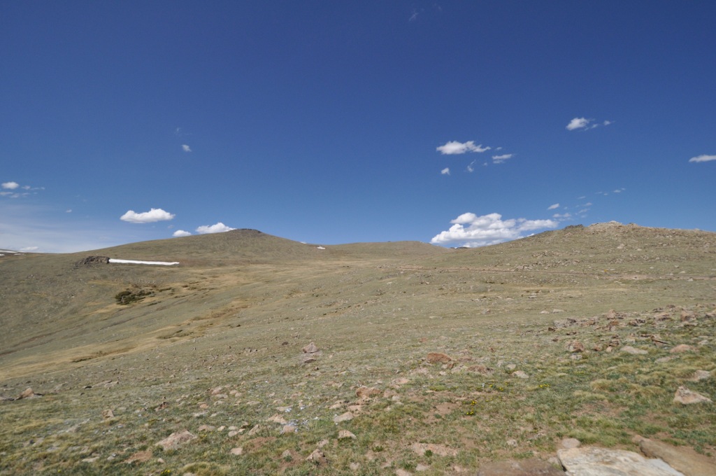 Photo of Willard, Beatrice, Alpine Tundra Research Plots