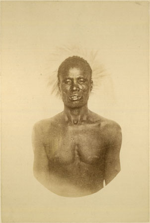 File:Richard Buchta - Shilluk man I.jpg