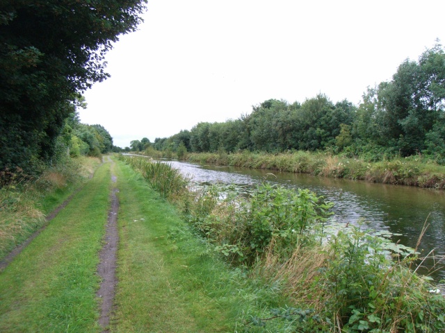 File:Royal Canal North of Moyvalley, Co. Kildare - geograph.org.uk - 1429171.jpg