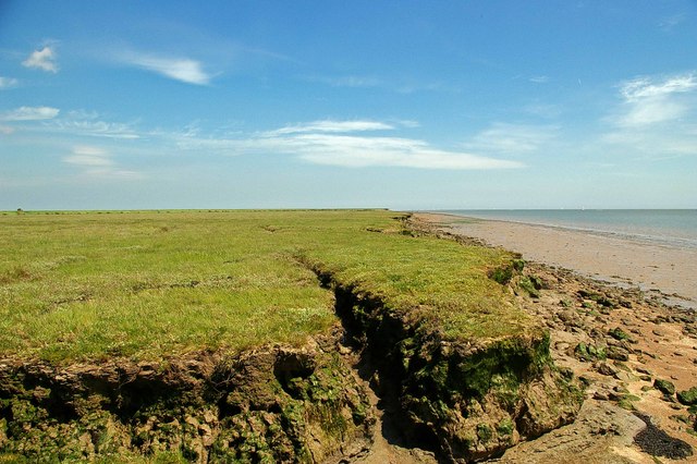 Saltmarsh On The River Crouch - geograph.org.uk - 180976