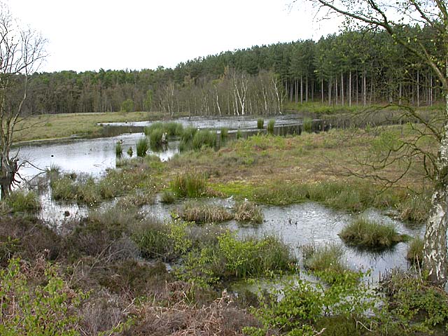 Abbotts Moss Nature Reserve