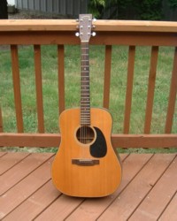 Takamine Guitars