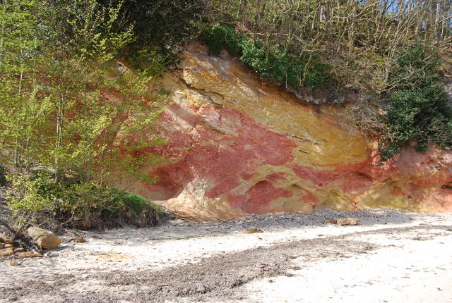 File:The reading Beds, Redend Point - geograph.org.uk - 767203.jpg