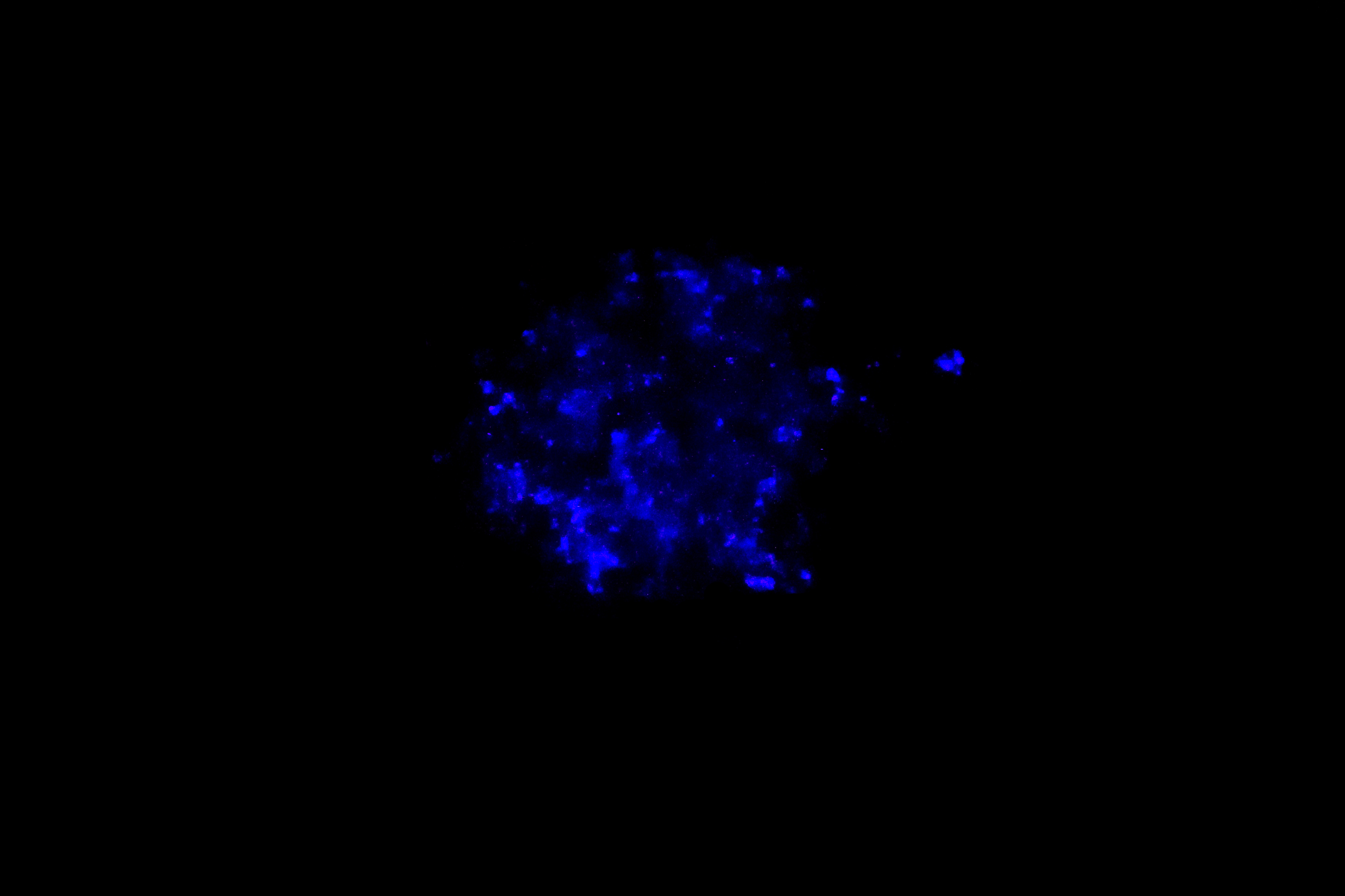 Triboluminescence - Wikipedia